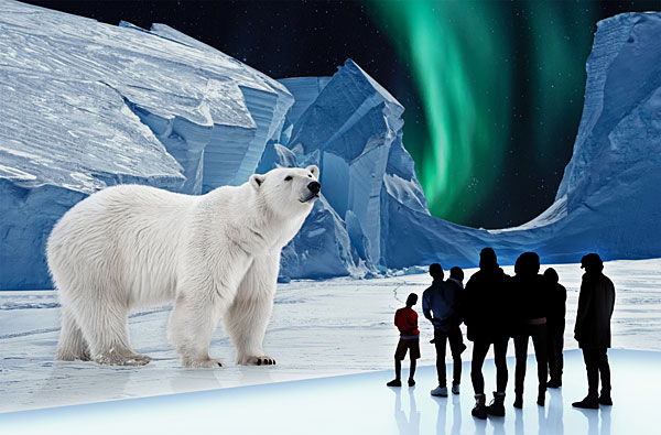 Ausstellungstipp: Polar Experience