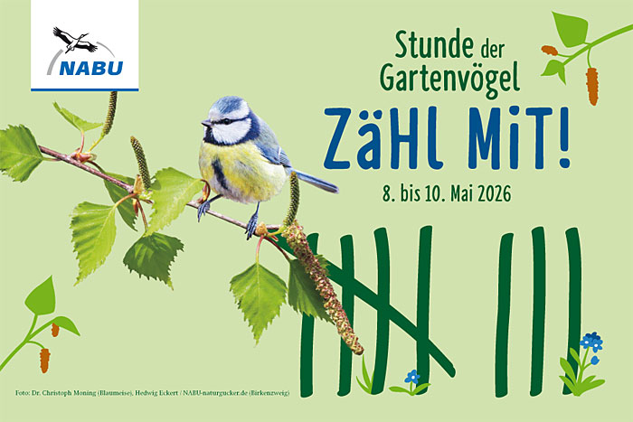 Stunde der Gartenvögel 2026