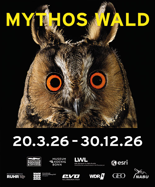 Ausstellungstipp: Mythos Wald