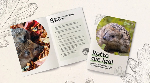 Igel schützen: Ihr kostenloser Ratgeber